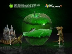 青苹果系统 Ghost WinXP SP3 少量精简版