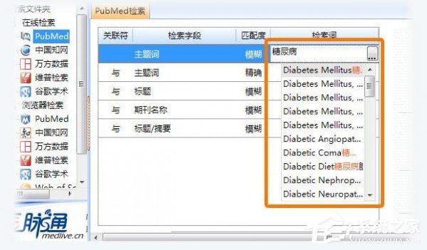 医学文献王