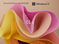 Windows11 23H2 22631 X64 官方正式版