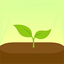Forest插件版 v6.5.0官方版