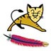 Apache tomcat 10 v10.1.41官方版