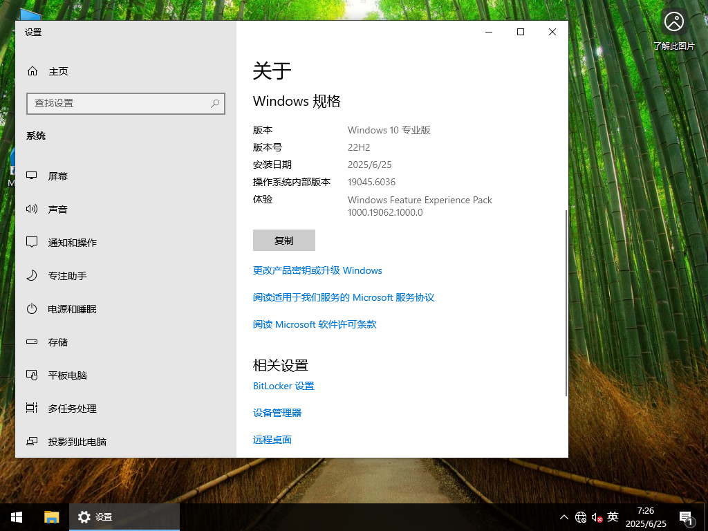 Windows10 22H2 19045.6036 X64 专业版