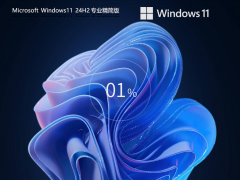 win11专业精简版镜像下载 | Windows11 24H2 64位
