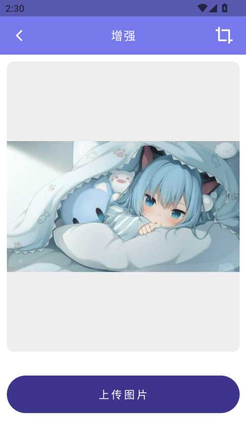 画质2X专业版
