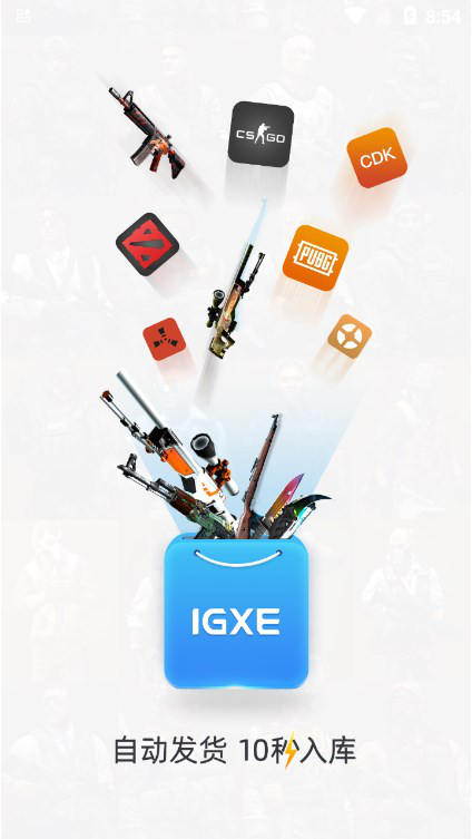 igxe交易平台汉化版