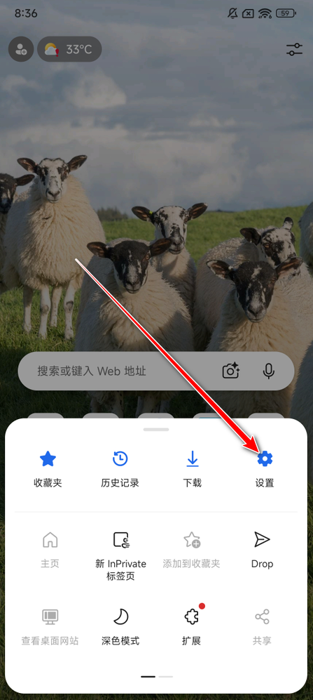 edge浏览器最新版