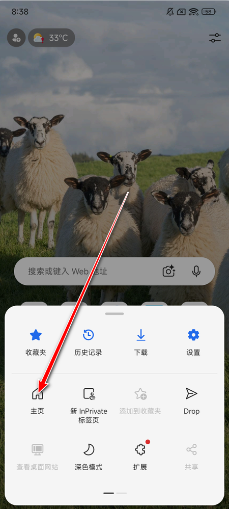 edge浏览器最新版