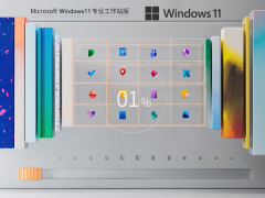 Windows11 22H2 64位 专业工作站版 | Win11设计师专用版