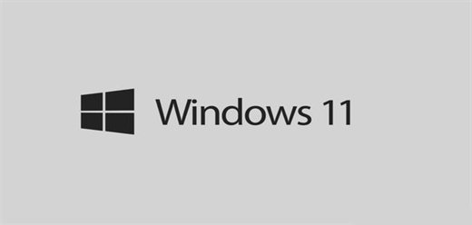 windows11版本大全