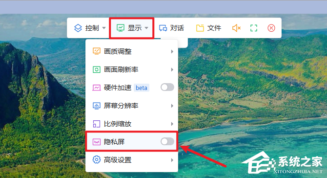 ToDesk